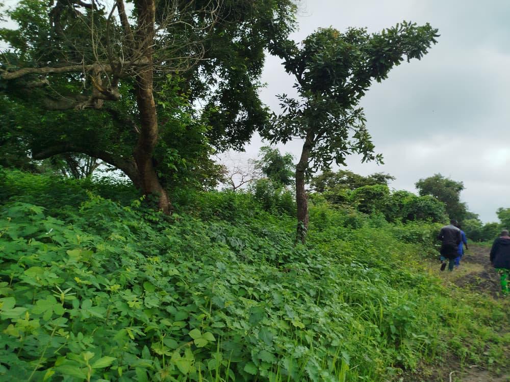 2cbdbef6 17d2 4839 964f 57b0fe04654c