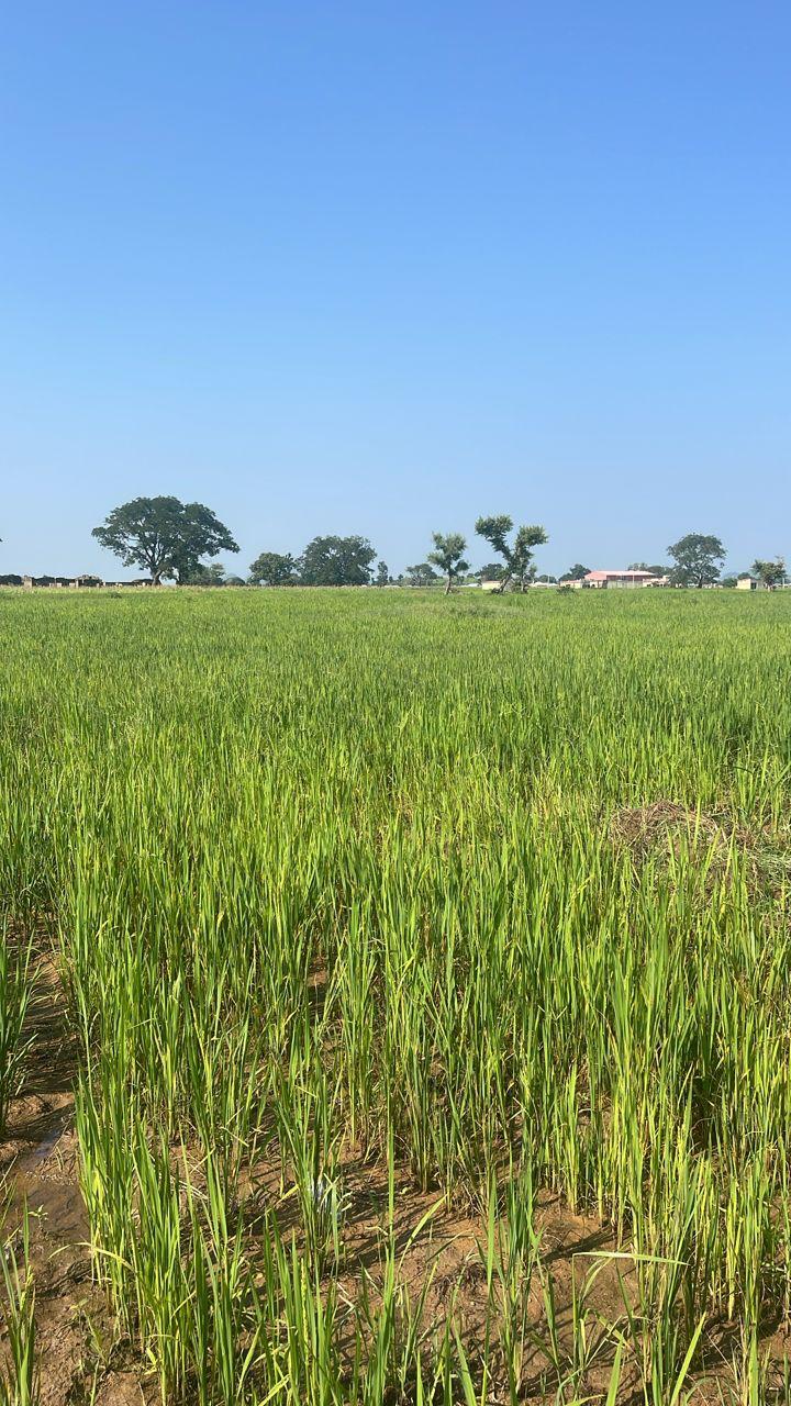 626be454 4fca 4f25 b715 7fa0f6ff899b (1)