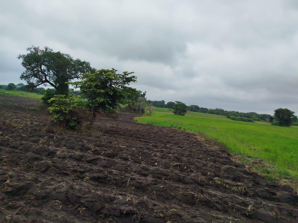 Farming f5185423 a02e 4859 be59 d7f9243a1d4c