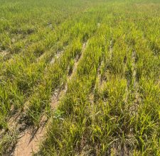 381d26f5 08c4 485b a942 e83da4cf145e